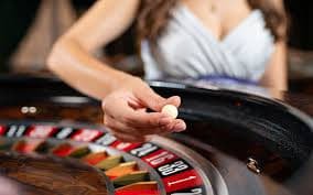 225bet